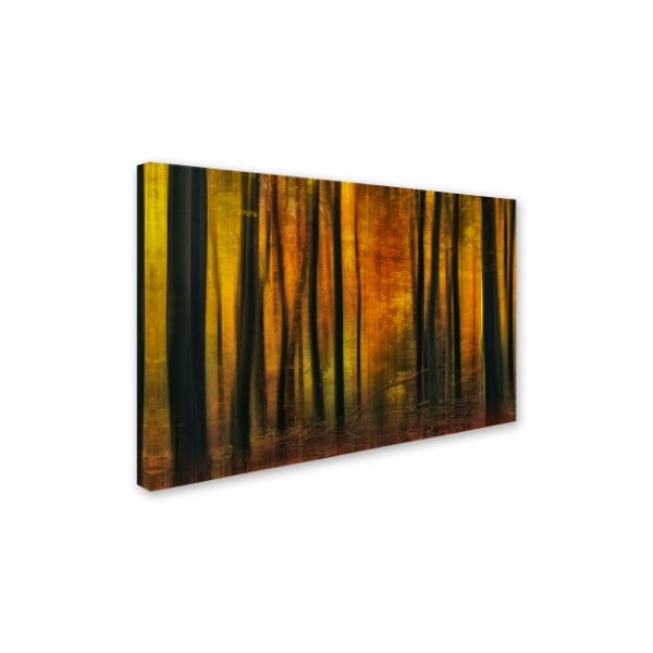 Jan Paul Kraaij 'Autumn Falls' Canvas Art,30x47